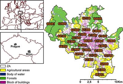 City-scale assessment of long-term air quality impacts on the respiratory and cardiovascular health